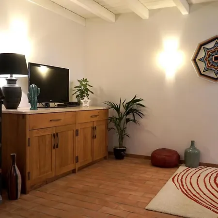 Mas Des Fleurs - Mimosa * Perpignan