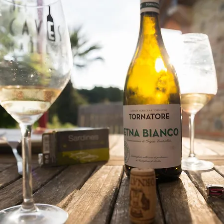 Apartmán Mas Des Fleurs - Mimosa Perpignan