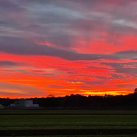 Mas Des Fleurs - Mimosa Apartmán