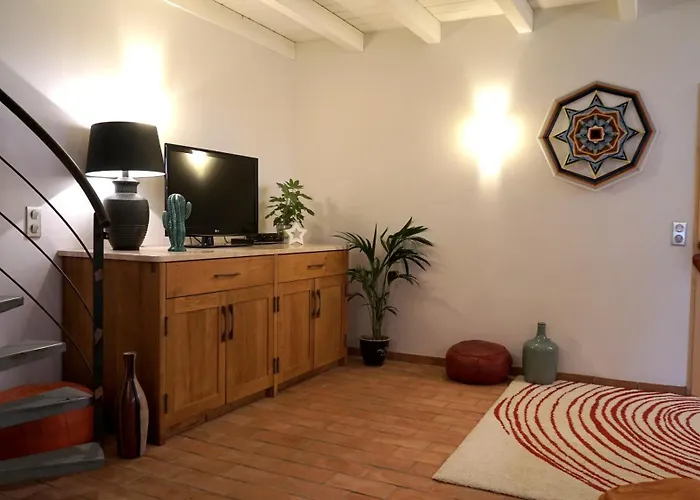 Mas Des Fleurs - Mimosa * Perpignan