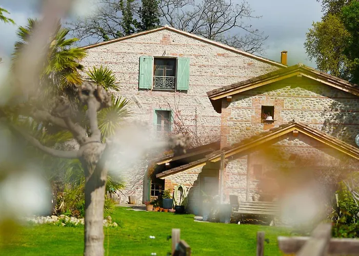 Mas Des Fleurs - Mimosa Apartment Perpignan