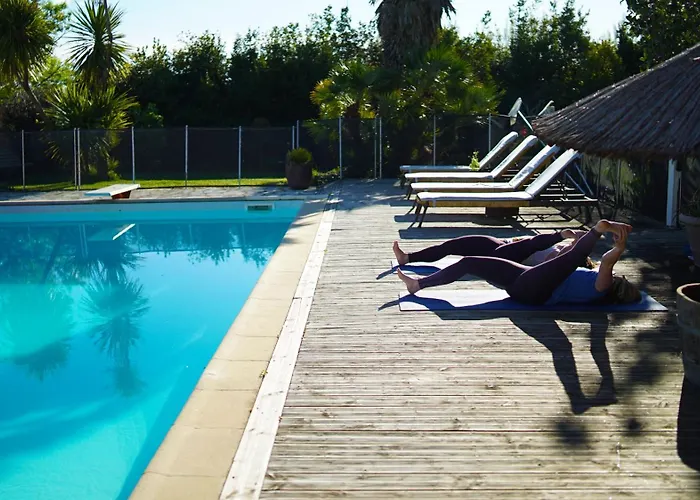 Mas Des Fleurs - Mimosa *