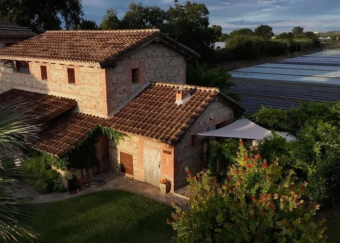 Mas Des Fleurs - Mimosa Apartment Perpignan