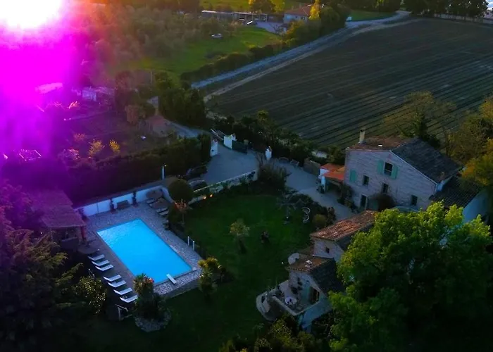 Mas Des Fleurs - Mimosa * Perpignan