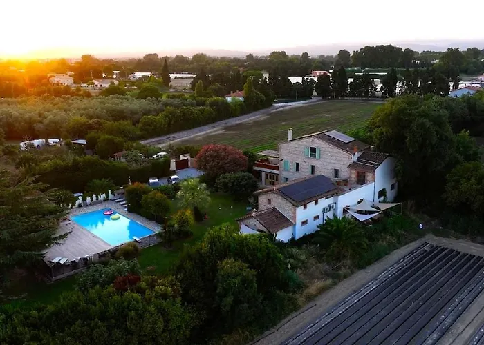 Mas Des Fleurs - Mimosa