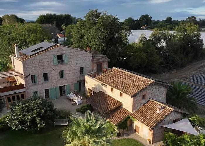 Mas Des Fleurs - Mimosa * Perpignan