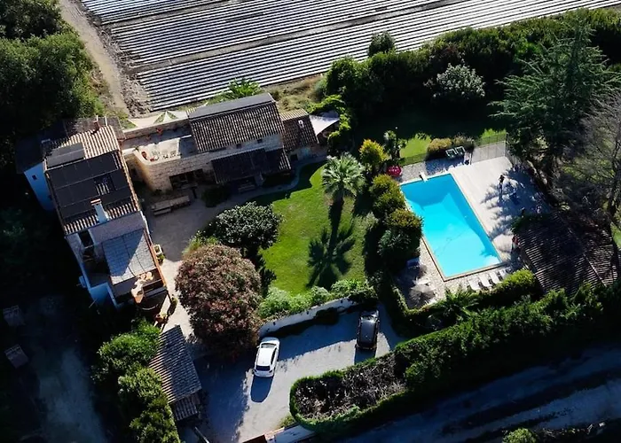 Apartment Mas Des Fleurs - Mimosa