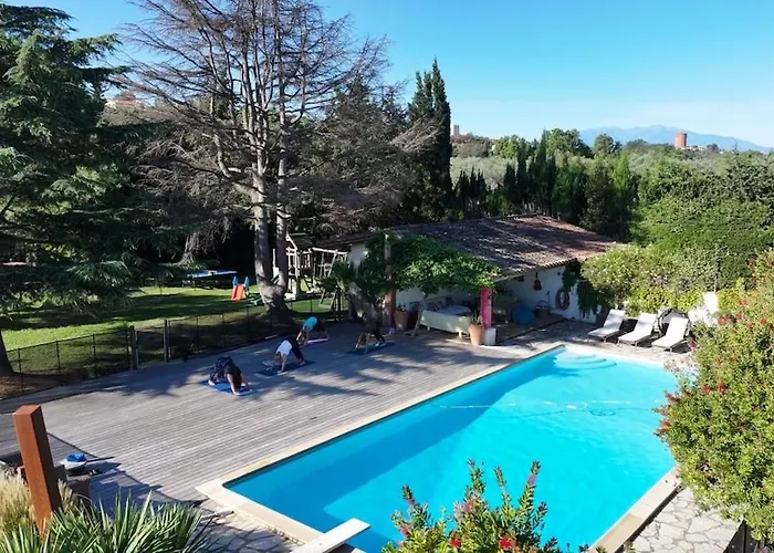 Mas Des Fleurs - Mimosa Perpignan