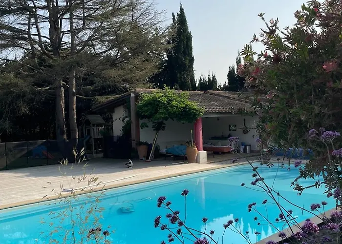 Mas Des Fleurs - Mimosa * Perpignan