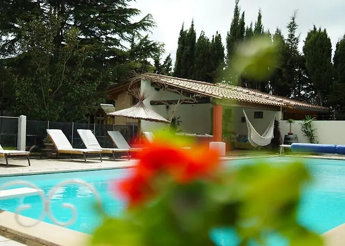 Mas Des Fleurs - Mimosa *